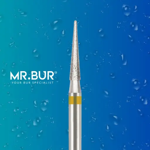 [66DSF] 858EF FG.016